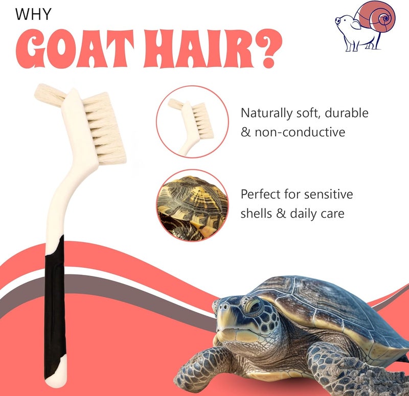 Snout and Shell Turtle Cleaning Brush Remove Aquatic Mud, Dirt, & Contaminants from Tortoises Shells & Promoting Shell Health - Goat Hair Bristle Brush with Grip Rubber Handle - White by - Image 3